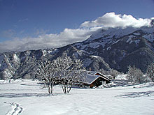 HOTEL CHALET LES BLANCS