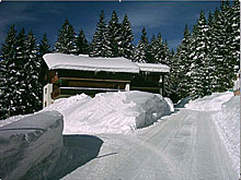 APPARTEMENTHAUS HUBERTUSHOF