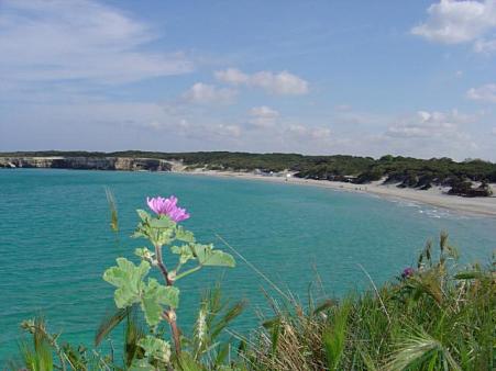 PUGLIA