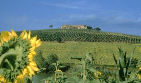 Agriturismo Toscana vily