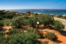 Residence LI JUNCHI - Costa Paradiso - SARDEGNA