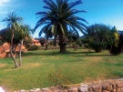 Apartmany CAPO CODA CAVALLO - Capo Coda Cavallo (San Teodoro)  SARDEGNA