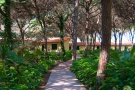 Hotel HORSE COUNTRY RESORT ****  SENIOR 55+ - Golfo di Oristano - SARDEGNA